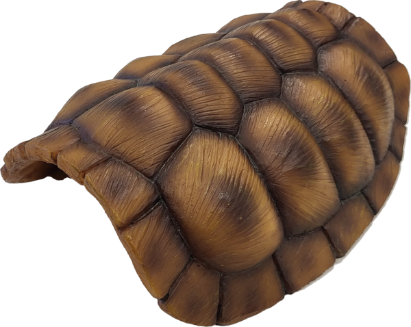 Repto Deco Tortoise M
