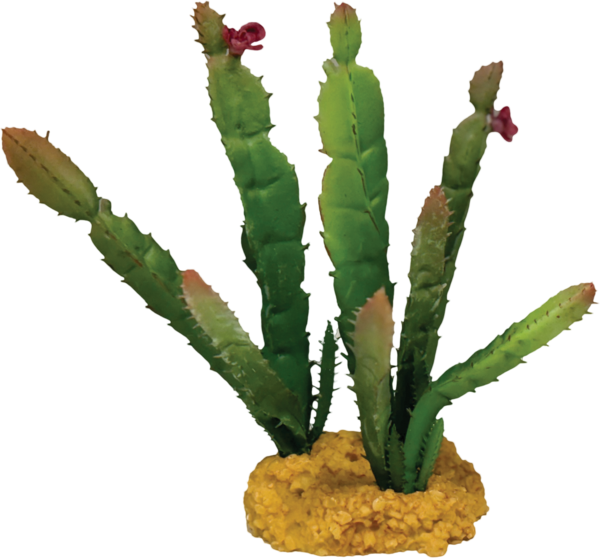 Repto Plant Cactus Needle Red Tip