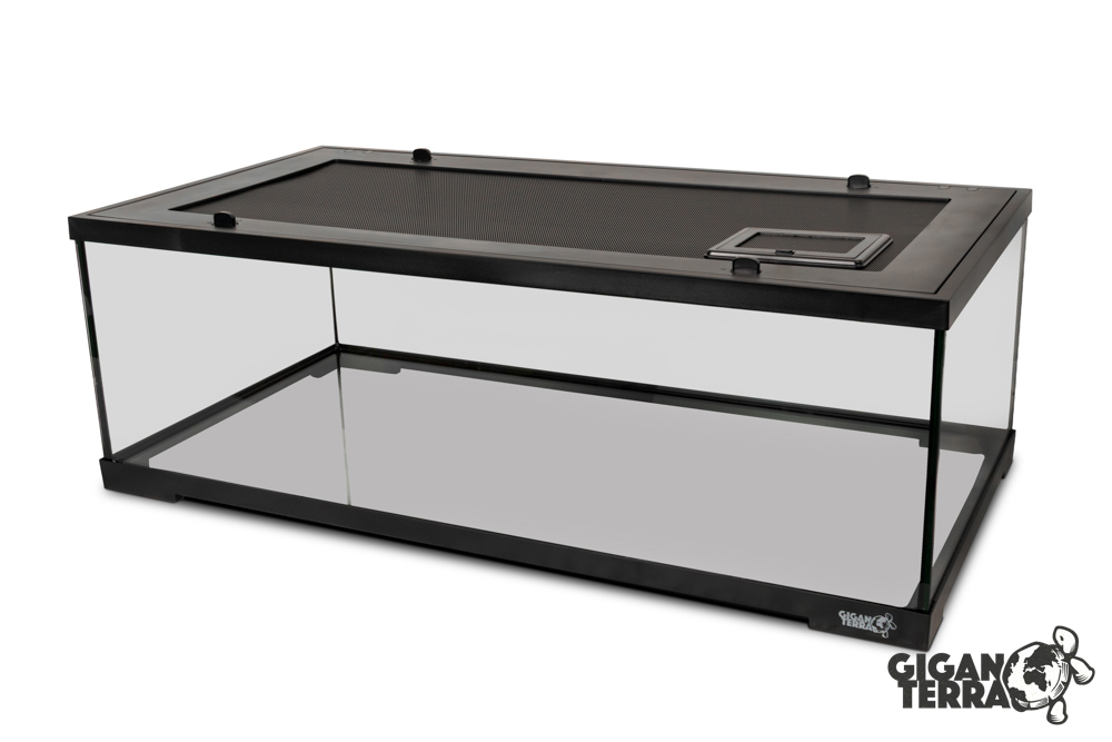 Giganterra GIGATURTLE XL (92X46X31cm) – Bild 2
