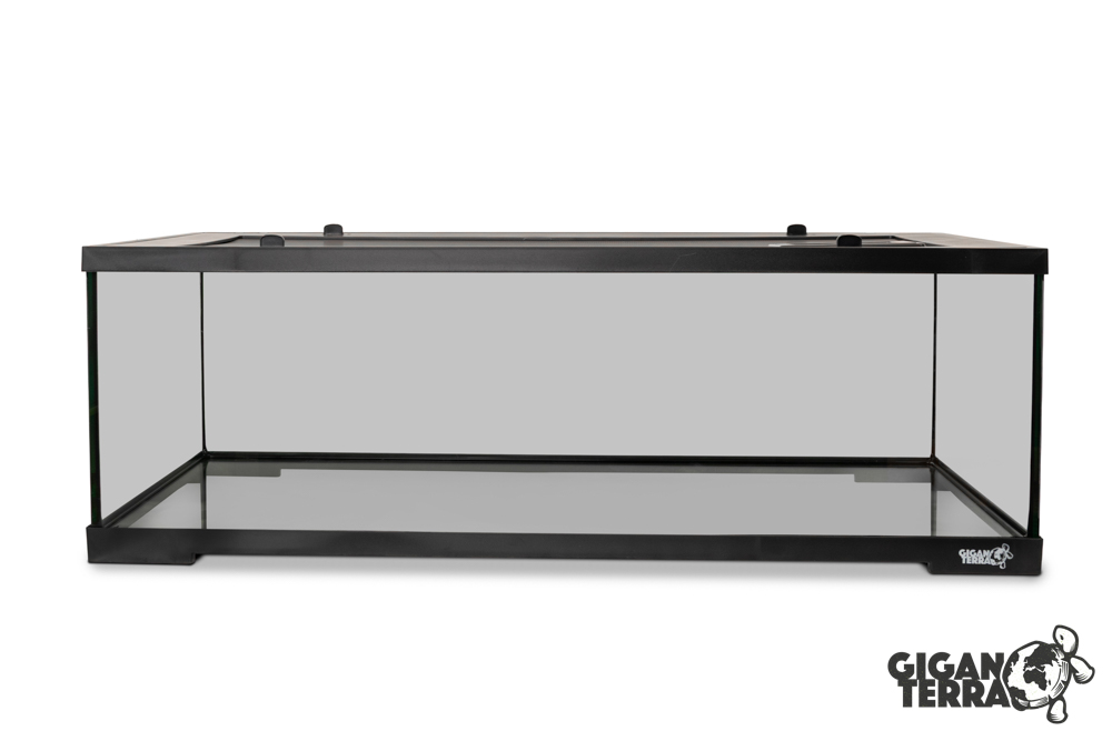Giganterra GIGATURTLE XL (92X46X31cm) – Bild 3