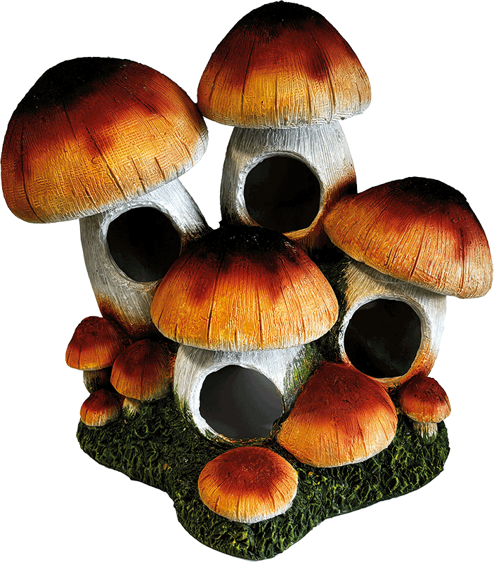 Repto Deco Mushroom Hotel