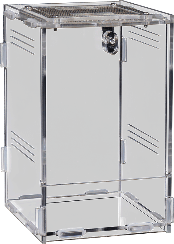 Repto Terra Clear Deluxe 15x15x23cm
